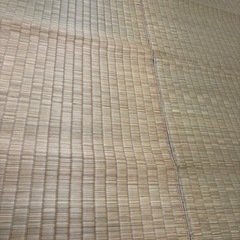 い草ラグ　い草カーペット　畳の画像
