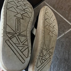 22センチの画像
