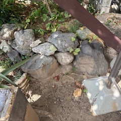 庭石の画像