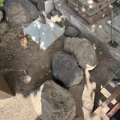庭石の画像