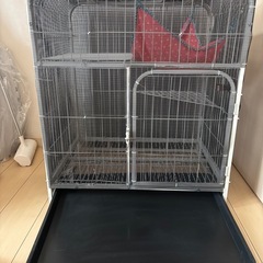 猫 ケージの画像