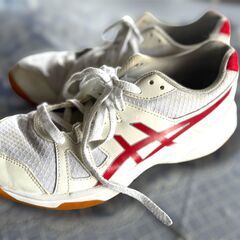 体育館シューズ スポーツシューズ 24cm  asics アシックスの画像