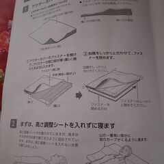 トゥルースリーパーSingleの画像