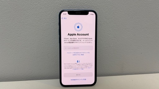 本日取引可能【美品】iPhone 12 mini 128 GB SIMフリー