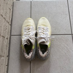 NIKE ゴルフしゅーシューズの画像