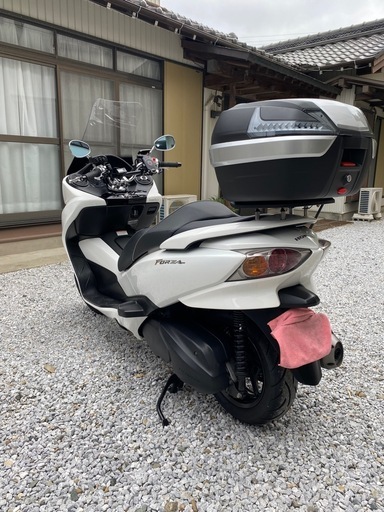 フォルツァZ