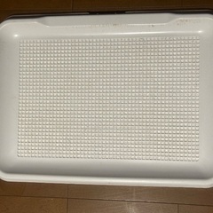 🐶犬用トイレトレーワイド🐶の画像