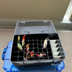 エギ入り箱の画像