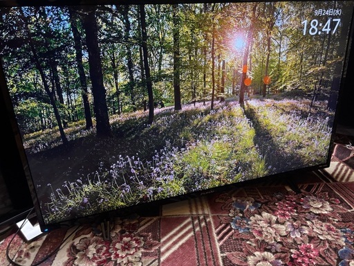 土日だけ〜特売品格安〜早い物勝ち！FUNAI 43V 4K HDR 液晶テレビ2020年製 FL-43U3020