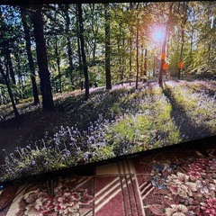 土日だけ〜特売品格安〜早い物勝ち！FUNAI 43V 4K HDR 液晶テレビ2020年製 FL-43U3020の画像
