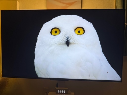 55インチ　東芝REGZA Z570L