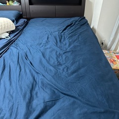 ニトリ跳ね上げ式収納付きベッドの画像