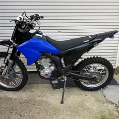 WR250X(R仕様)  逆車の画像