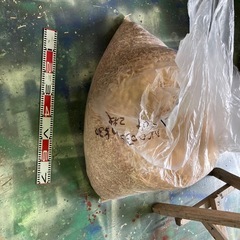 おがくず、木屑の画像