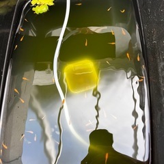 【最終値下げ】メダカ　紅華　8匹　若魚　未選別　めだか　ミジンコ　ゾウリムシ　①の画像