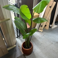 フェイクグリーン　の画像