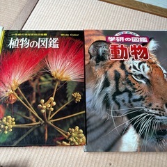 図鑑5点の画像