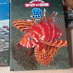 図鑑5点の画像