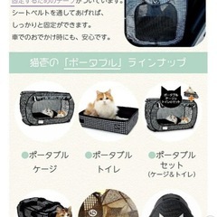 ねこ壱　ゲージの画像