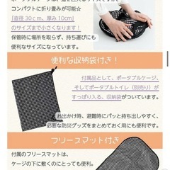 ねこ壱　ゲージの画像