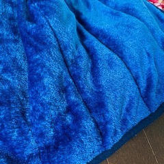 美品　遠赤綿入りボアかいまき布団2色組の画像