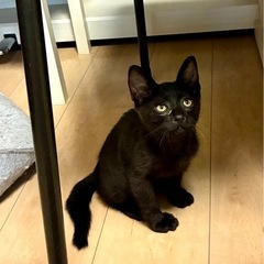 シャイボーイ⭐︎ゆうひ
