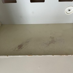 無料でお譲りします　食器棚　アイボリーの画像