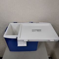 クーラーボックス スポーツ フィッシング キャンプ 幅約34cm(持ち手部分を除く) x 奥行約27cm x 高さ約30cmの画像