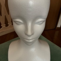 発泡マネキンの画像