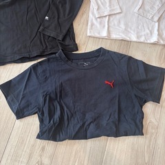男の子 １３０サイズ　ロンT 、Tシャツ　3枚セットの画像