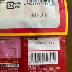 猫セットの画像