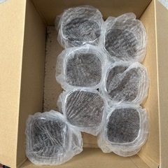 国産カブトムシ幼虫【1〜5匹の間で】の画像