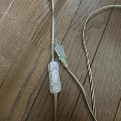 ツインライトの画像
