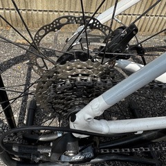 TREK DOMANE AL3 DISC ロードバイク ホワイトの画像