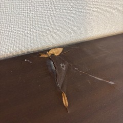 【無料】ワークデスクの画像