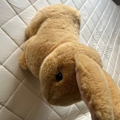 【 Zoo Creatures 】 BIGぬいぐるみ 「 ウサギ 」の画像