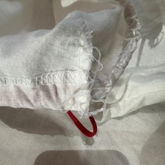 ルブタン  バック袋の画像