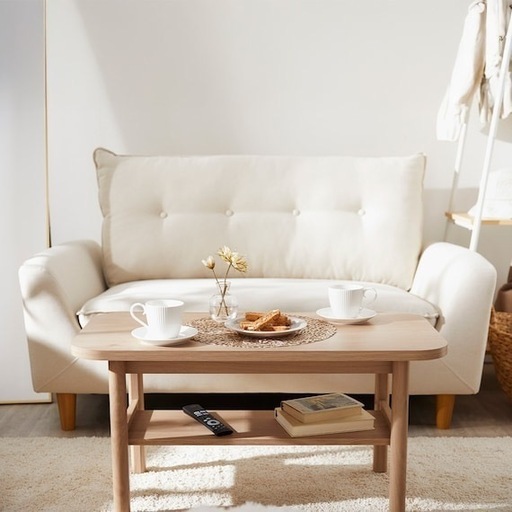 ローソファにもなるコンパクトソファ(Nパック4 BE) ニトリ