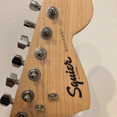 スクワイア ムスタングの画像