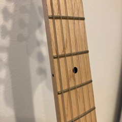 スクワイア ムスタングの画像