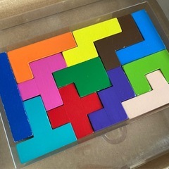 ⭐︎木製知育玩具⭐︎  3歳〜　ブロックパズルの画像