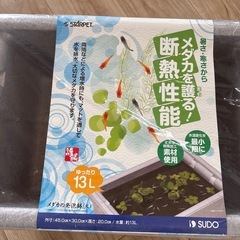 新品★メダカ飼育　発泡鉢の画像