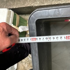 メダカ金魚の画像