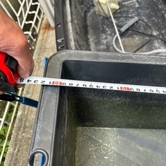 メダカ金魚の画像
