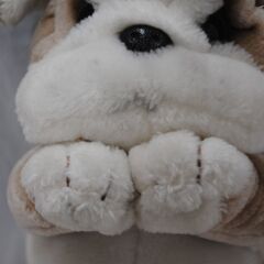 [1544J] ブルドック ぬいぐるみ 約30cm イヌ 犬の画像