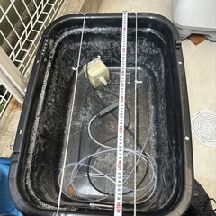 メダカ金魚
の画像