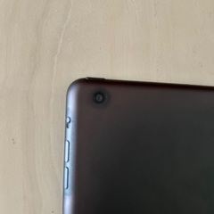 Apple iPad mini 第1世代の画像