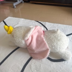 ぬいぐるみゾウの画像