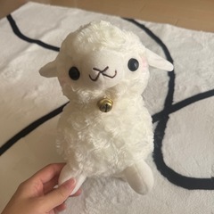 ぬいぐるみ羊の画像
