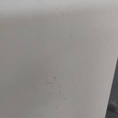 【リユ-スのサカイ広島石内店】ジモティ割！/2ドア冷蔵庫/アクア/2023年製/クリ-ニング済み/HG-7365/広島市 冷蔵庫　佐伯区 冷蔵庫　南区 冷蔵庫　西区 冷蔵庫　東区 冷蔵庫　中区 冷蔵庫　安佐南区 冷蔵庫　安佐北区 冷蔵庫　安芸区 冷蔵庫　府中町 冷蔵庫　海田町 冷蔵庫　熊野町 冷蔵庫　坂町 冷蔵庫　廿日市市 冷蔵庫の画像